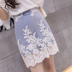 Lace Fitted Skirt